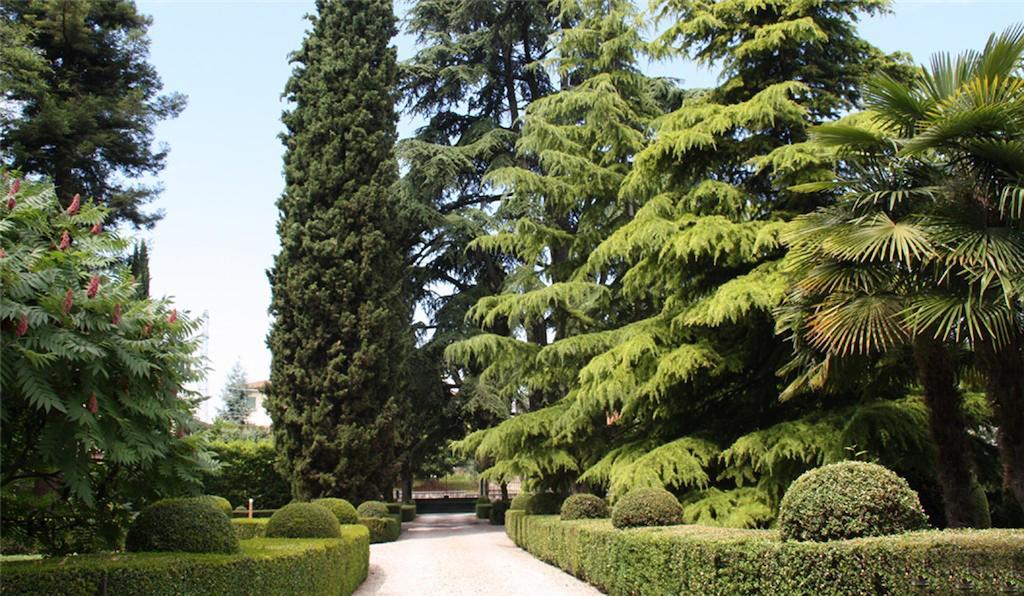 Villa Avesani Пастренго Екстериор снимка